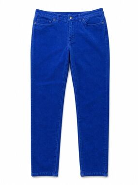 Patagonia Cobalt Blue Corduroy Pants Women’s 29 Straight Leg